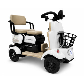 VE de mobilidade reduzida modelo EASY bateria Litio 48V 20A