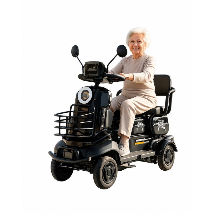 Veiculo de mobilidade reduzida modelo EASY bateria Litio 48V
